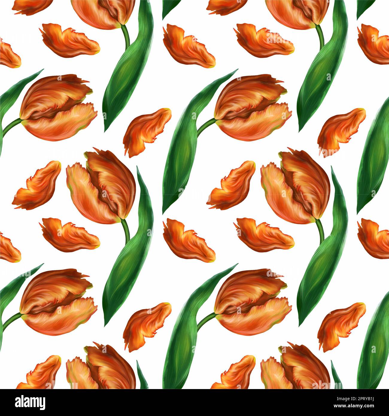 Tulipani e petali rossi realistici, sfondo senza cuciture. Ripetizione motivo di superficie con bellissimi fiori acquerello tulipani per sfondo, texture. Foto Stock