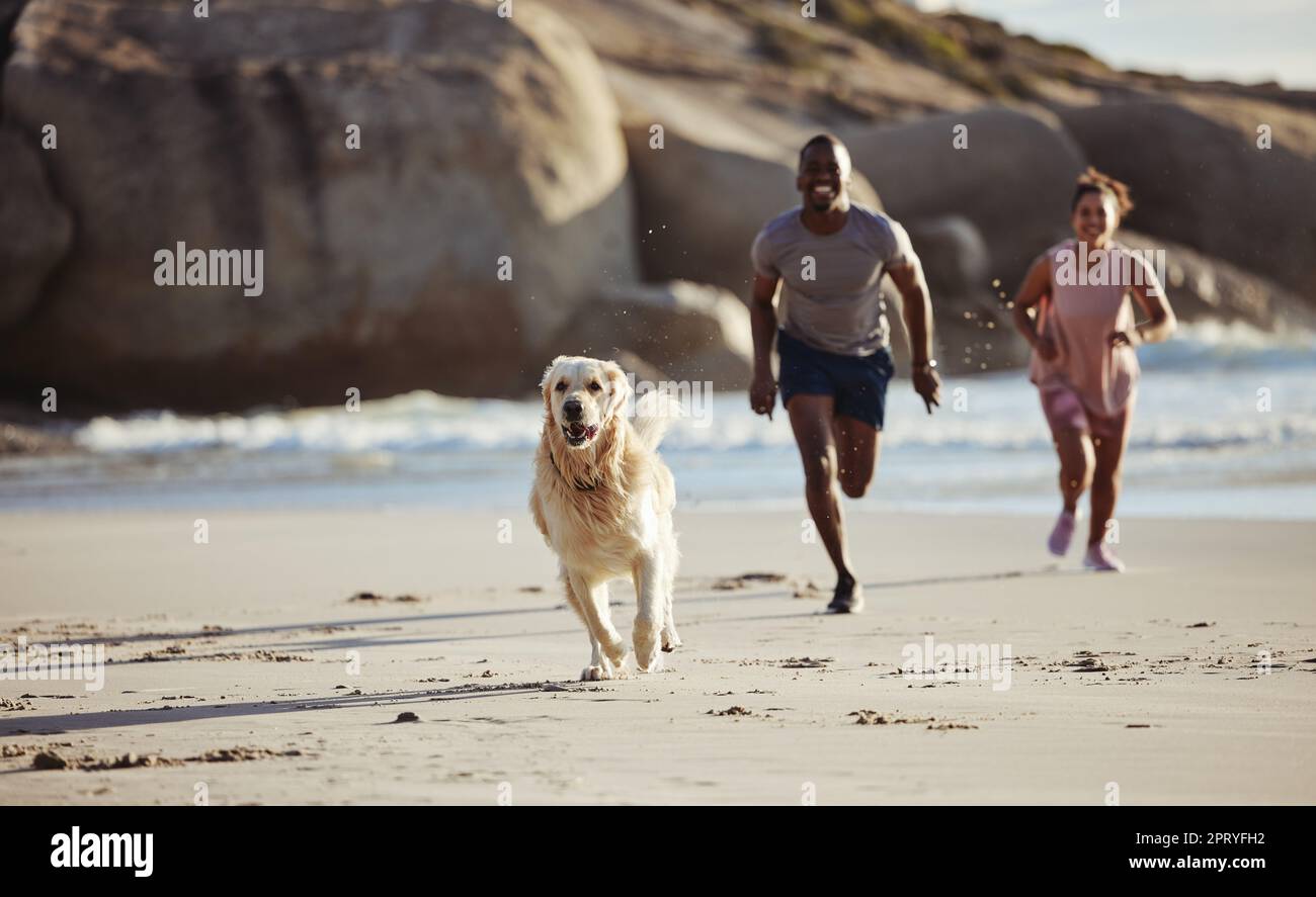 Cane, corsa e spiaggia con una coppia nera e animale domestico in vacanza sensazione di felicità e libero. Mare, sabbia e libertà di vacanza di un animale di famiglia e persone Foto Stock