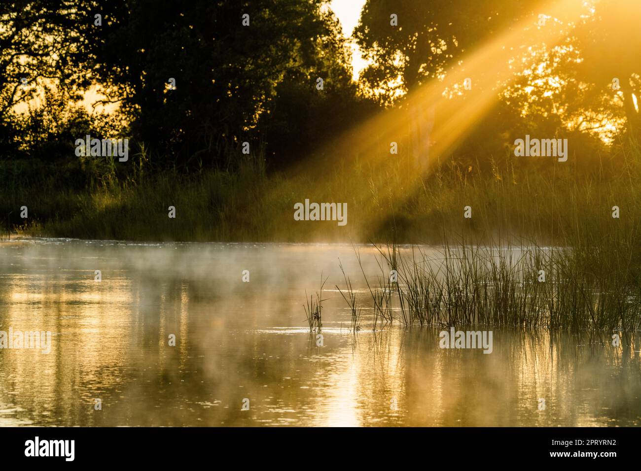 La luce del sole proviene dal lato superiore destro verso sinistra sulla superficie dell'acqua, fiume. Fiume Kwando, Namibia, Africa Foto Stock