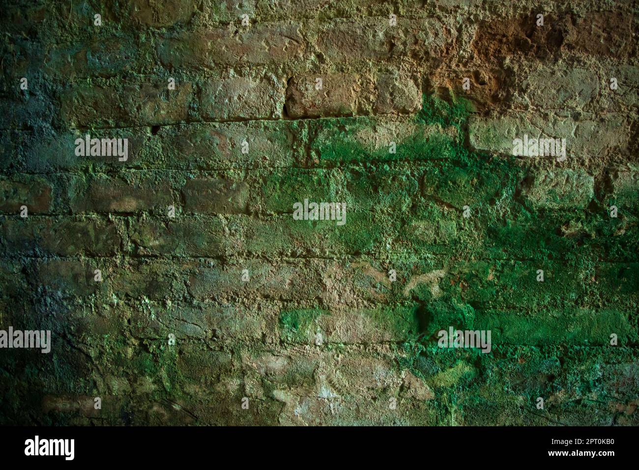 Funghi muschio verde sulla vecchia parete di mattoni ha una struttura di sfondo astratta Foto Stock