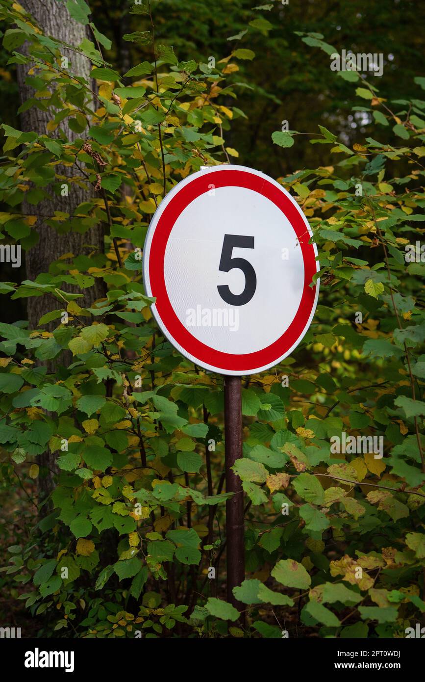 Un cartello che indica un limite di velocità di cinque miglia all'ora si trova nel parco, nella foresta Foto Stock