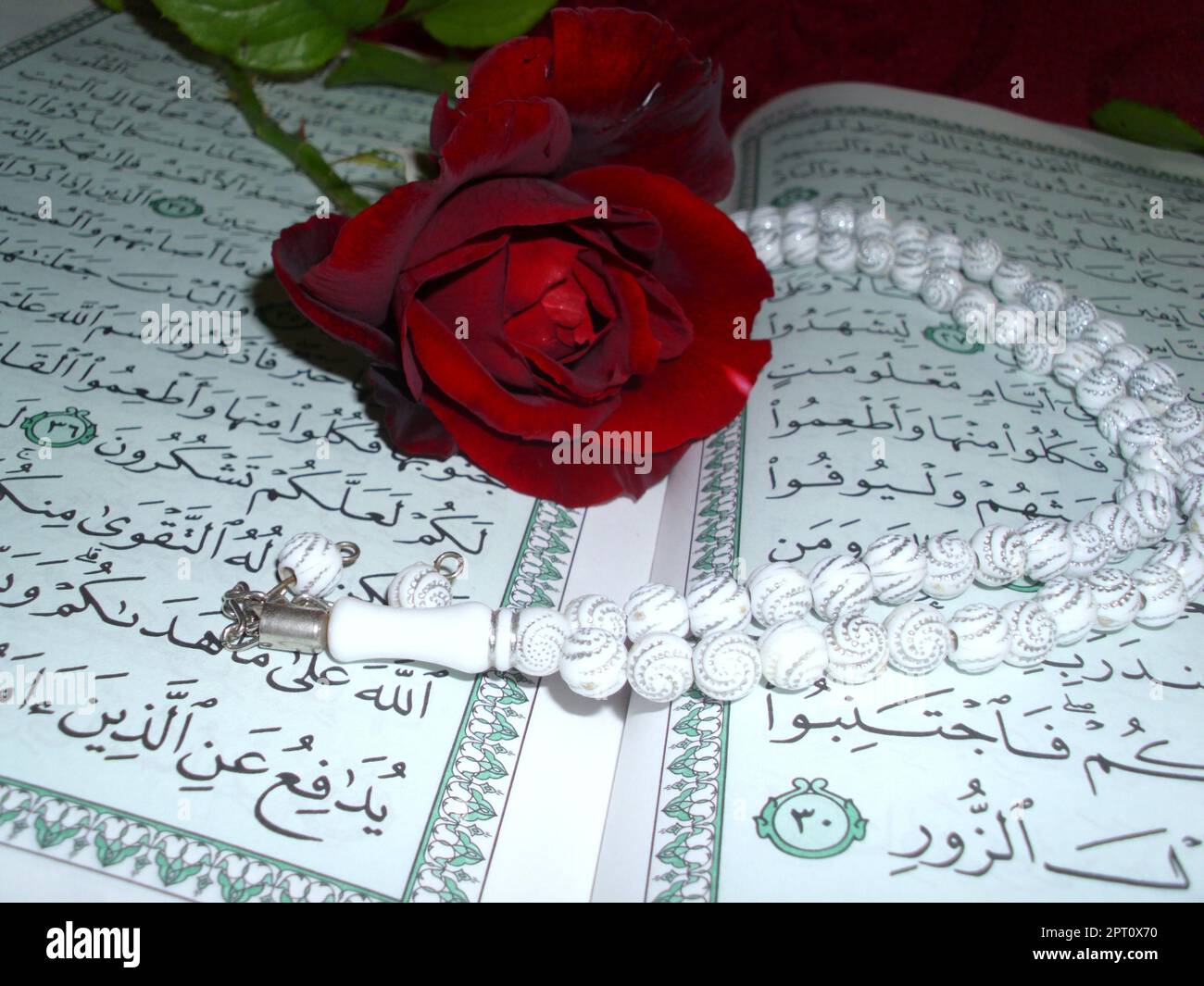 Quran - libro sacro dell'Islam con fagiolo di preghiera bianco, rosa e sciarpa su sfondo rosso. Messa a fuoco selettiva. Hatay, Turchia - 1 maggio 2023. Foto Stock