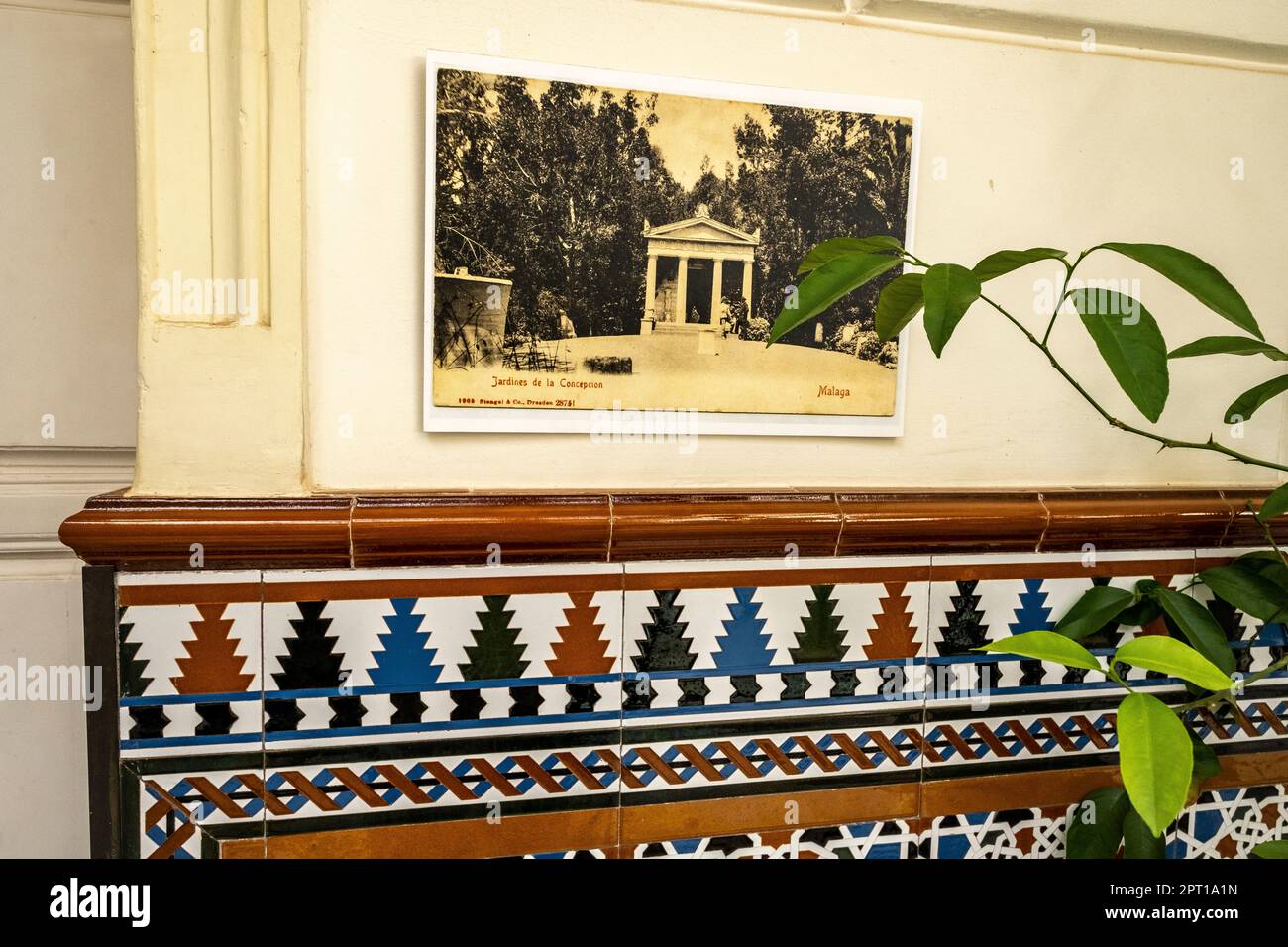 Málaga, Spagna -- Foto di archivio su una parete del Museo Loringiano, al Jardin Botánico la Concepción Foto Stock