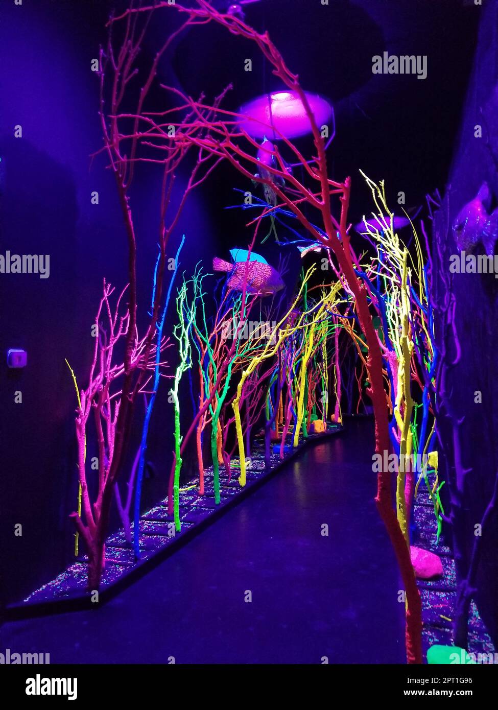 Meow Wolf a Santa Fe, New Mexico, è un'esperienza coinvolgente nella fantasia Foto Stock