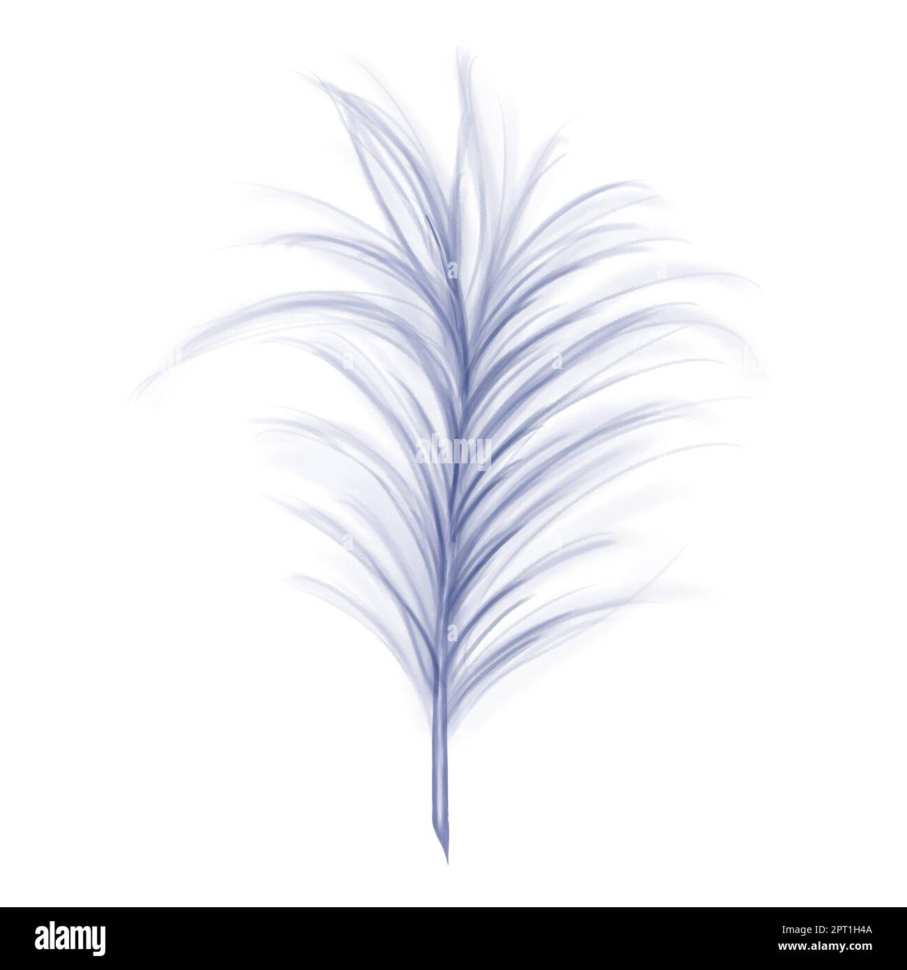 Elegante piuma bluastra di un cigno, oca. Elemento decorativo per costumi teatrali, abiti da carnevale, cappelli, mazzi di fiori e souvenir. Foto Stock Elegante piuma bluastra di un cigno, oca. Elemento decorativo per costumi teatrali, abiti da carnevale, cappelli, mazzi di fiori e souvenir. Foto Stock