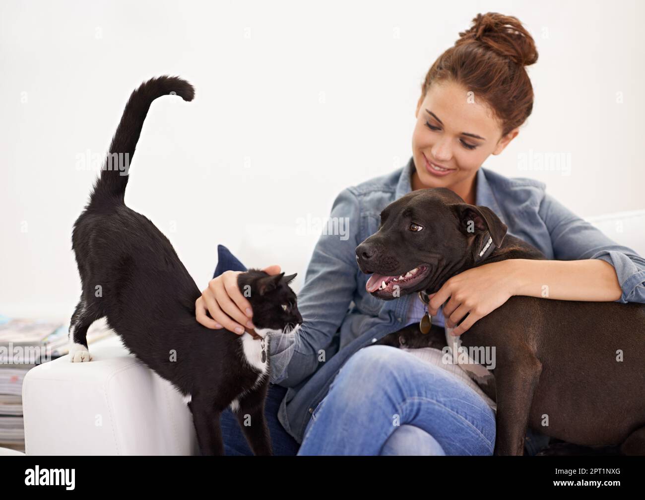 Indovinate chi governa il roost in quella casa. Una bella giovane donna che si rilassa sul divano con il suo cane e gatto Foto Stock