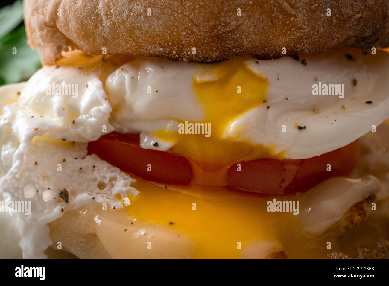 Sandwich con uova fritte su muffin inglesi. Scatto macro. Foto Stock