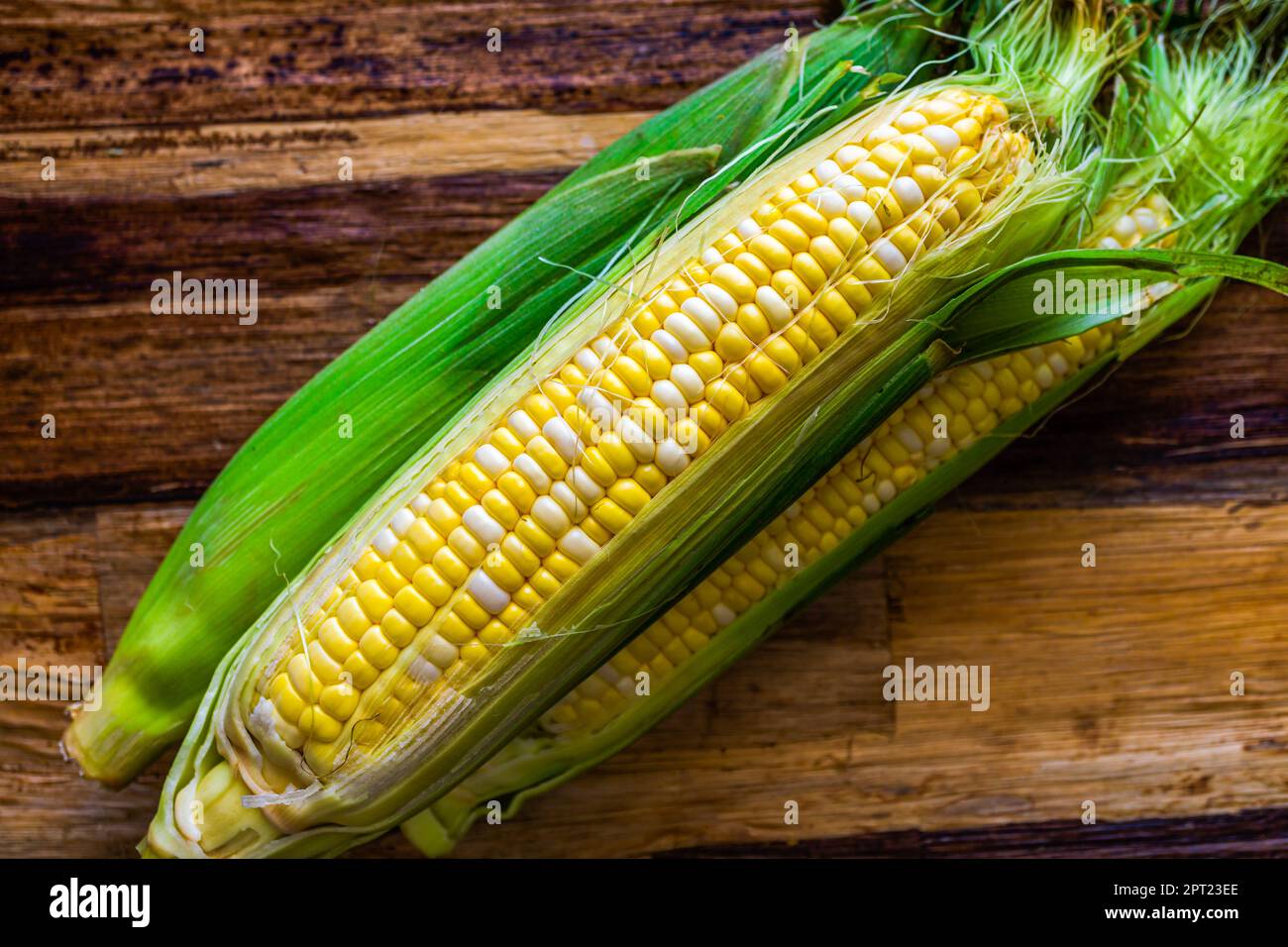 Mais fresco sulla pannocchia con buccia. Sopra, primo piano. Foto Stock