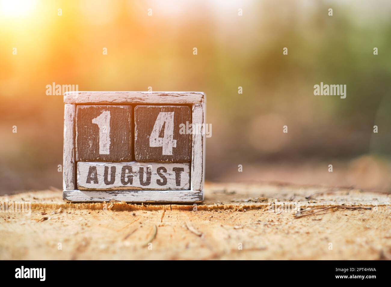 Agosto 14 su un calendario di legno in piedi su foresta di ceppo con luce solare Foto Stock
