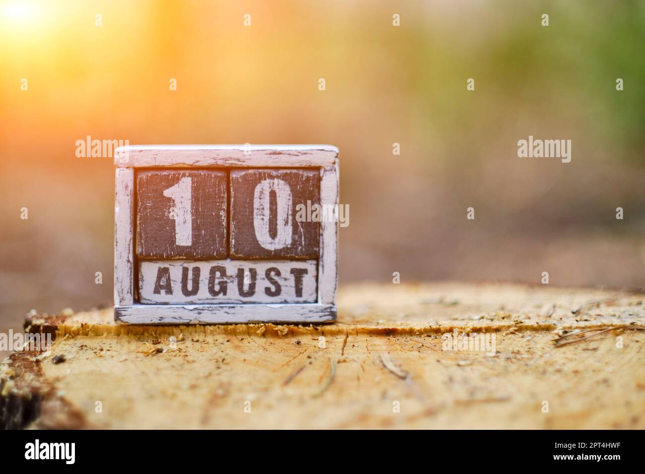 Agosto 10 su un calendario di legno in piedi su foresta di ceppo con luce solare Foto Stock
