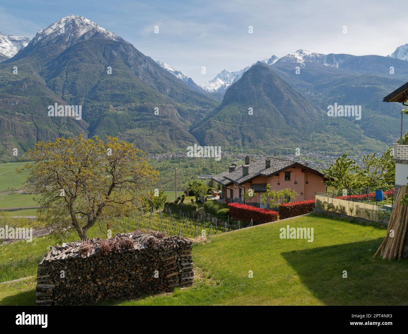 Pila di legno accanto a una casa con vigneto in Valle d'Aosta, NW Italia. Montagne alpine con cime innevate sull'altro versante della valle Foto Stock