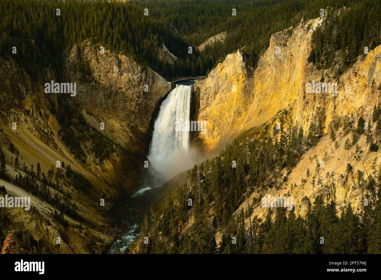 Cascate inferiori del fiume Yellowstone nel Parco Nazionale di Yellowstone, viste da Lookout Point sul bordo nord del canyon Foto Stock