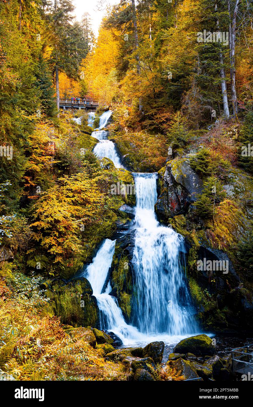 Le cascate di Triberg sono tra le più alte della Germania. Foto Stock