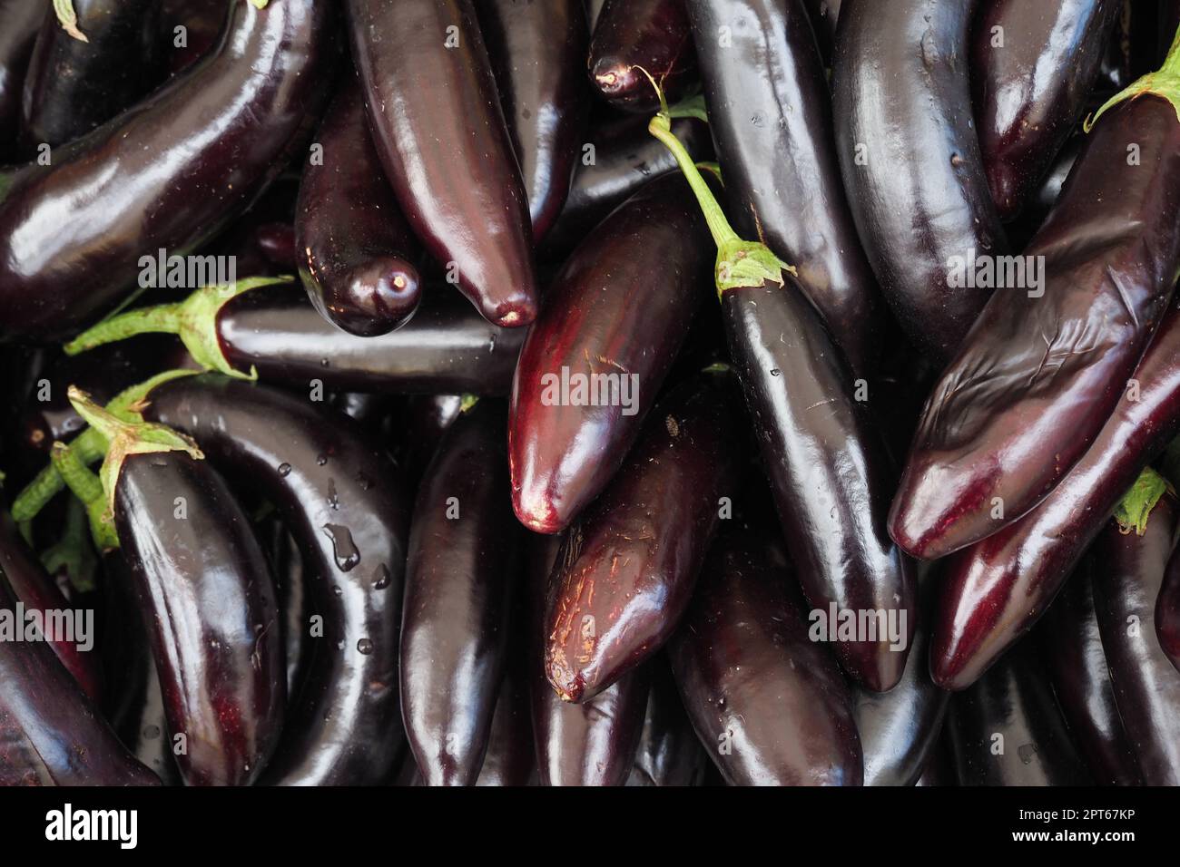 vista dall'alto delle melanzane sul tavolo Foto Stock