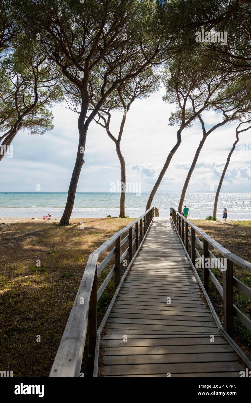 Spiaggia di Rimigliano, vicino Piombino, Maremma, Provincia di Livorno, Toscana, Italia Foto Stock