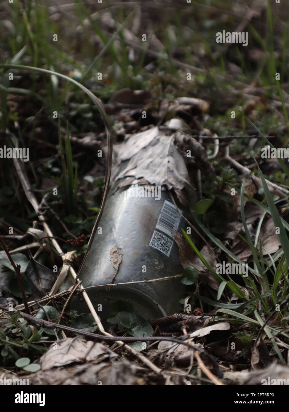 vecchia bottiglia in natura Foto Stock
