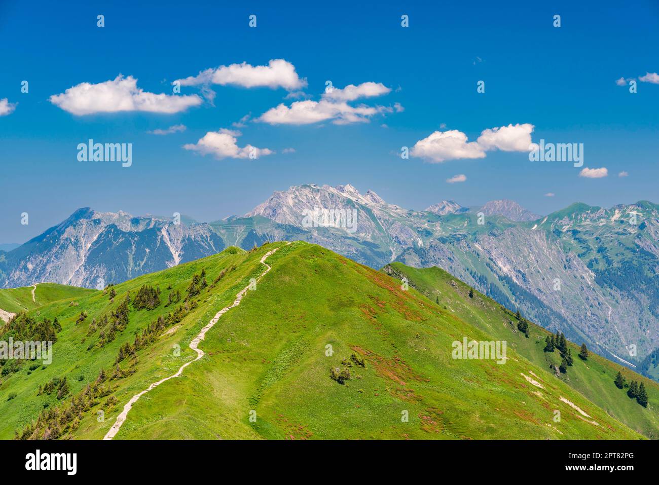 Sentiero panoramico da Fellhorn, 2038m km, a Soellereck, 1706m km, dietro di esso Nebelhorn, 2224m, Allgaeu Alps, Baviera, Germania Foto Stock