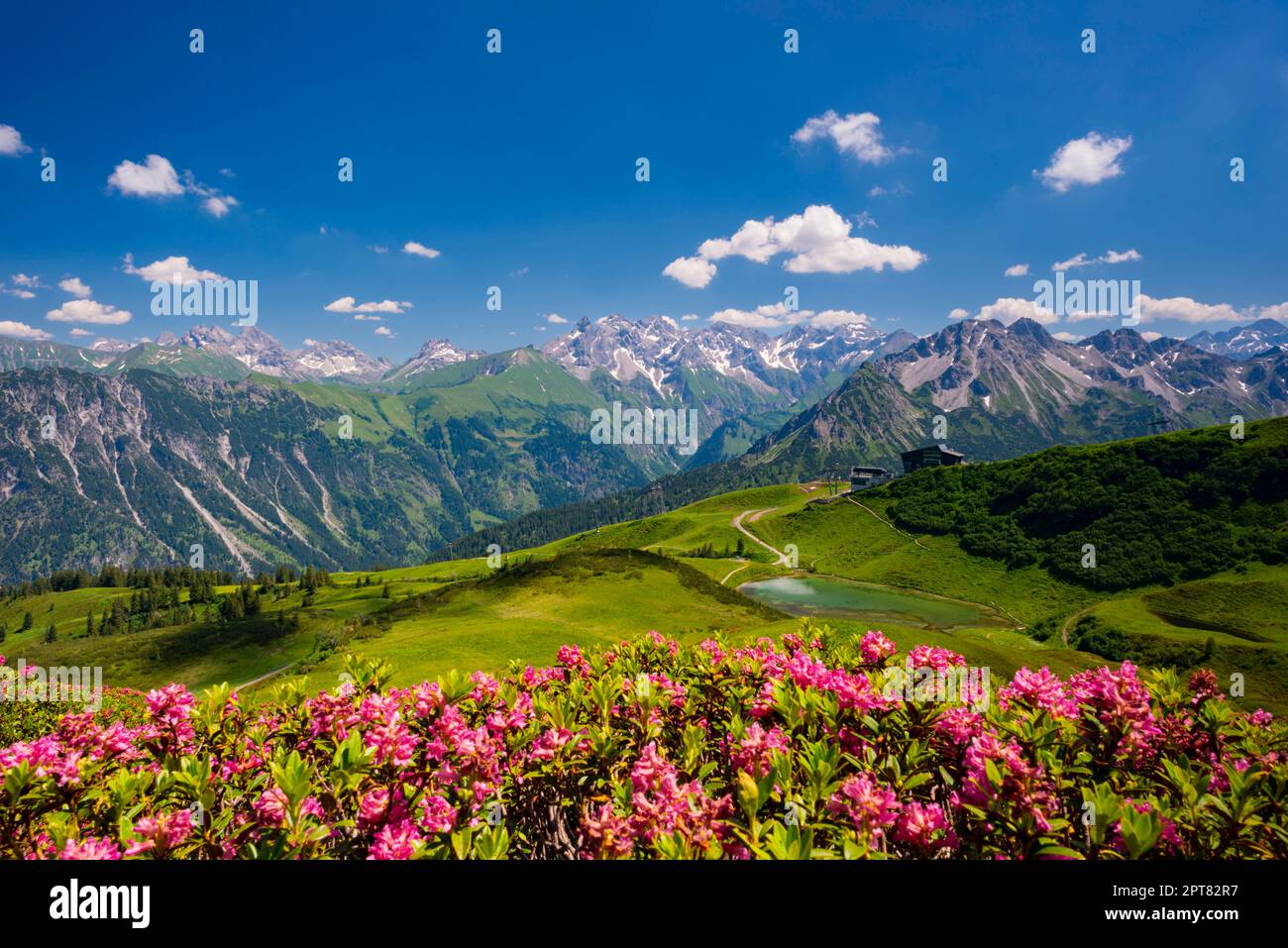 Panorama da Fellhorn, cresta principale centrale delle Alpi di Allgaeu, Allgaeu, Baviera, Germania Foto Stock