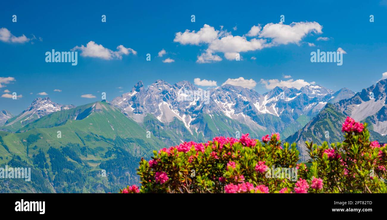 Panorama da Fellhorn, cresta principale centrale delle Alpi di Allgaeu, Allgaeu, Baviera, Germania Foto Stock