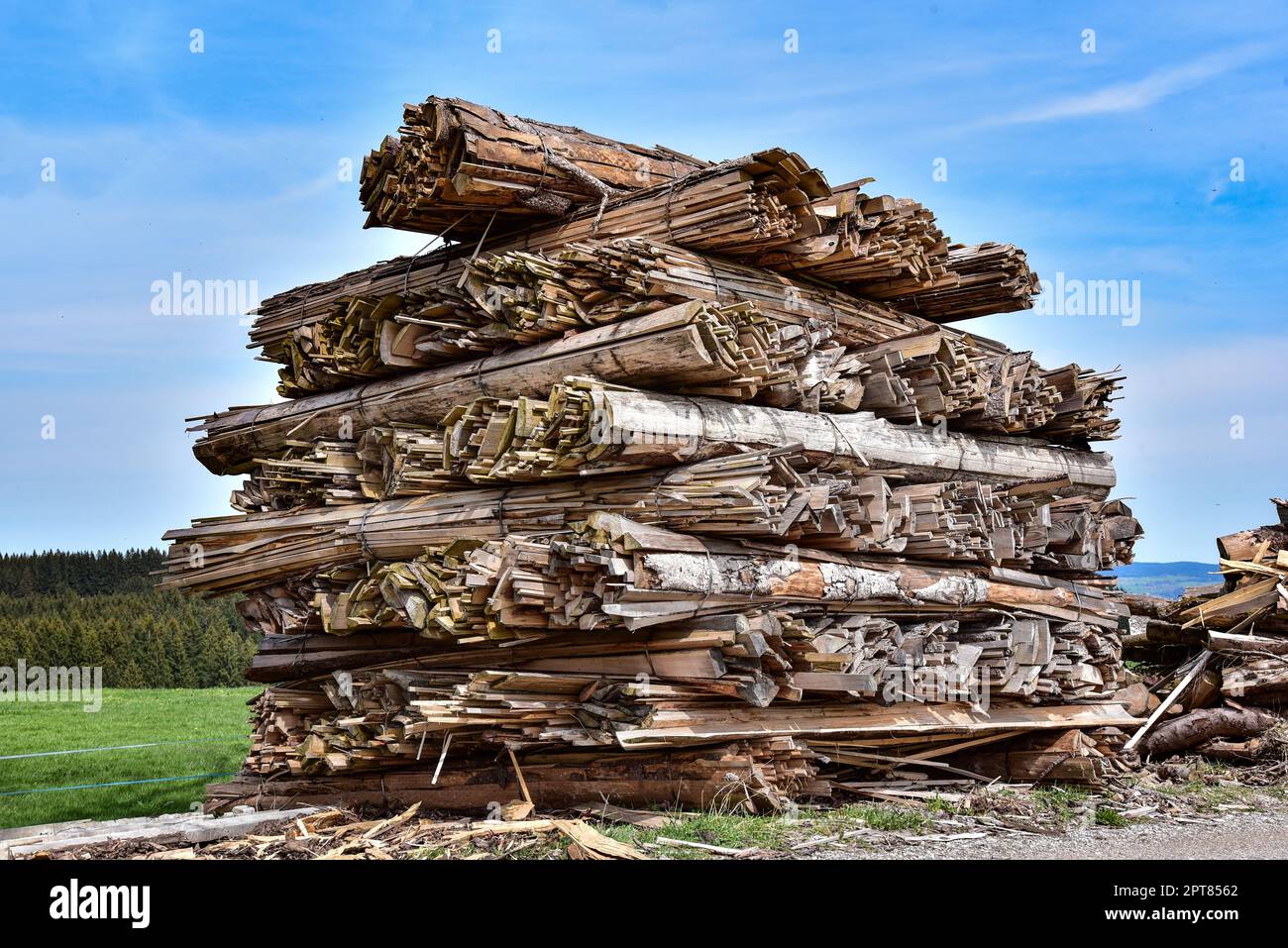 Abbiamo visto i rifiuti in un punto di raccolta del legno in Baviera, Germania, Europa Foto Stock