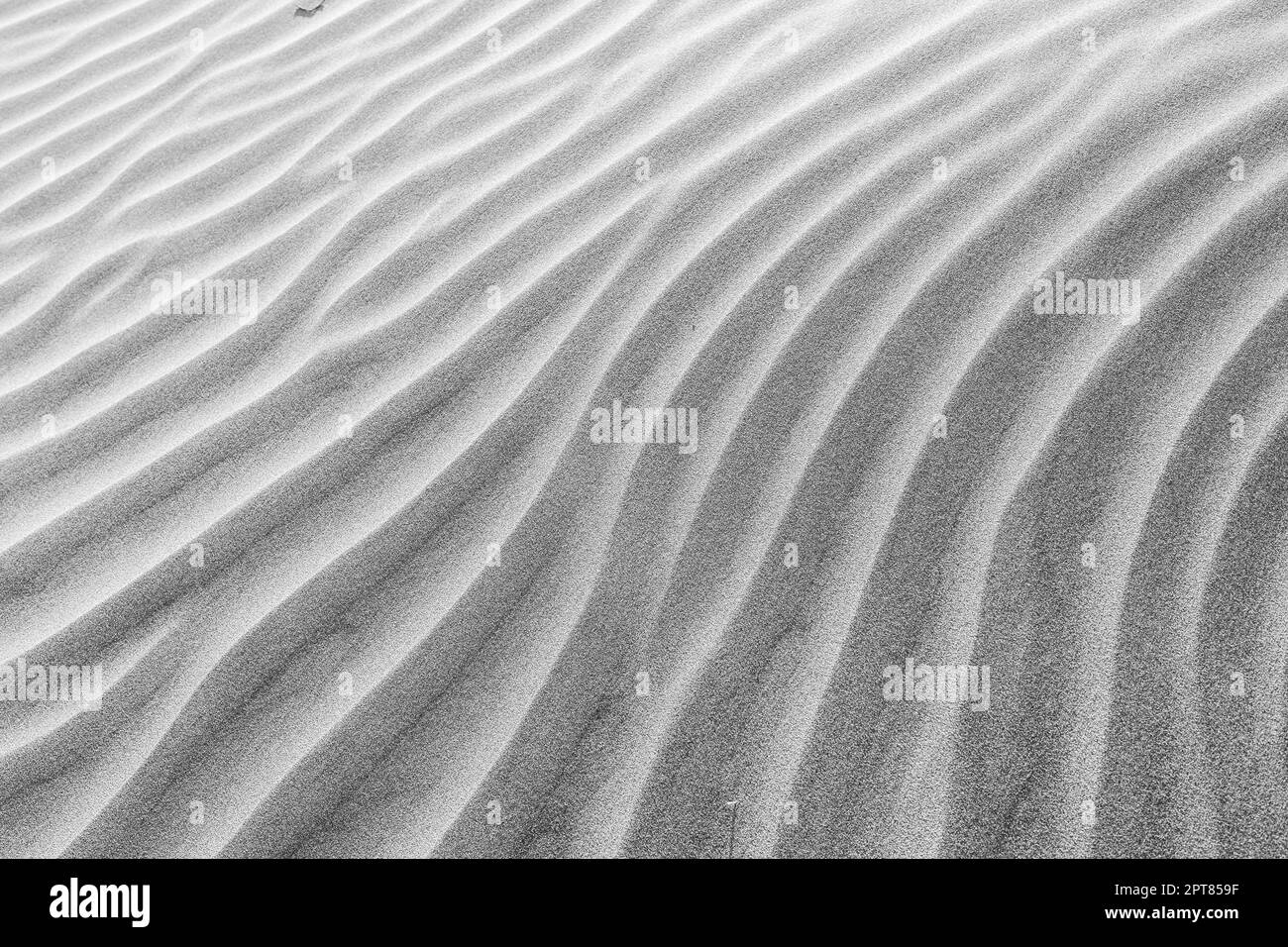 Le dune di Famara spiaggia (Playa de Famara), Lanzarote. Isole Canarie. Spagna. Bianco e nero. Foto Stock