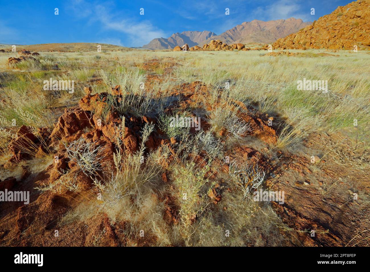 Paesaggio panoramico del monte Brandberg con pianure erbose e rocce, Namibia Foto Stock