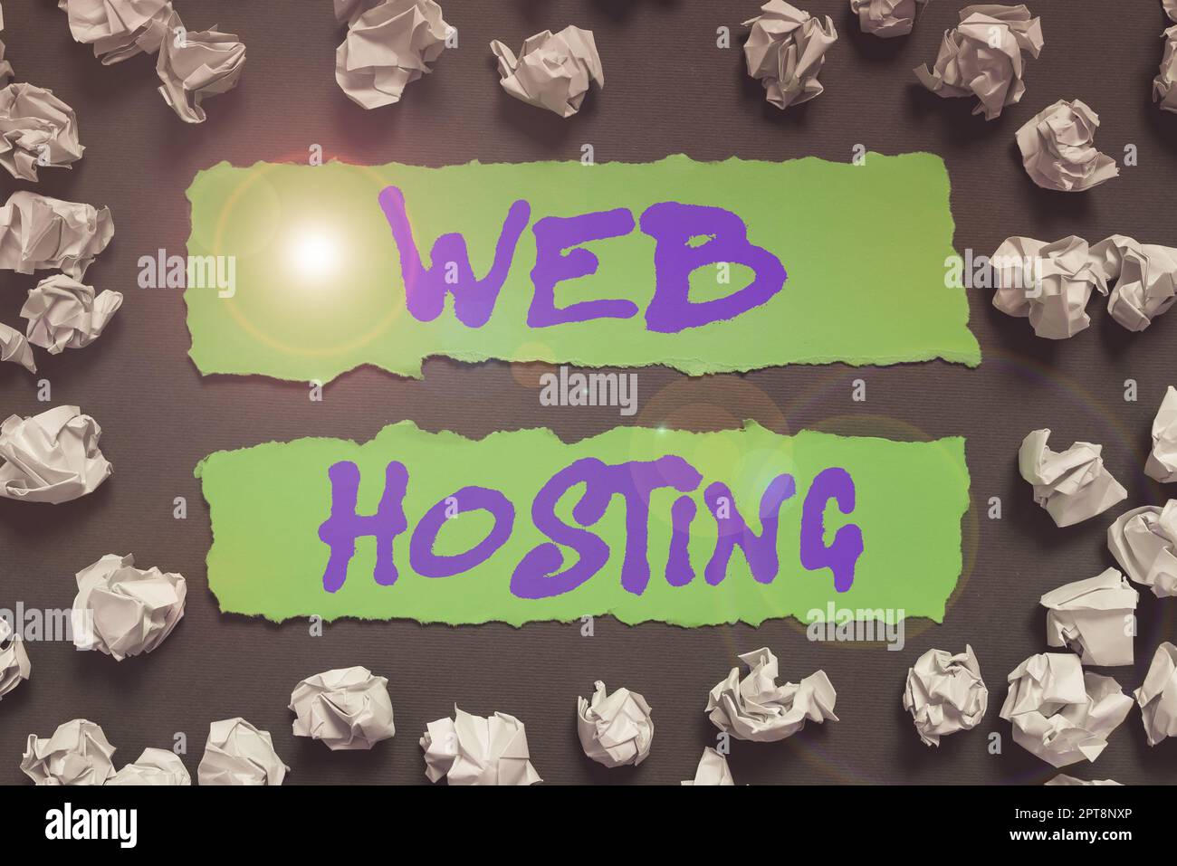 Scrittura a mano di testo Web Hosting, concetto che significa business che consente l'accesso a un server per memorizzare i dati in un sito web Foto Stock
