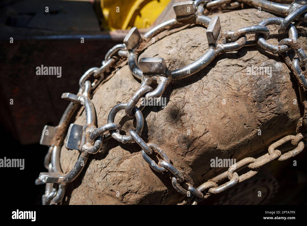 Catene di trazione sulla ruota grande di una trincia da legno per camion forestale. Foto Stock