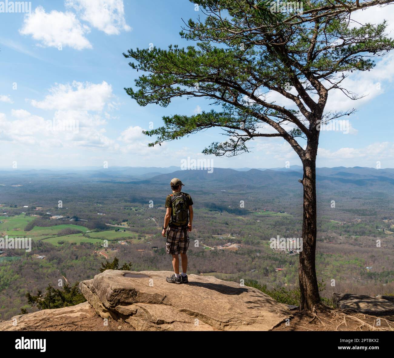 Escursionista maschile in piedi accanto a un albero che si affaccia su una valle Foto Stock