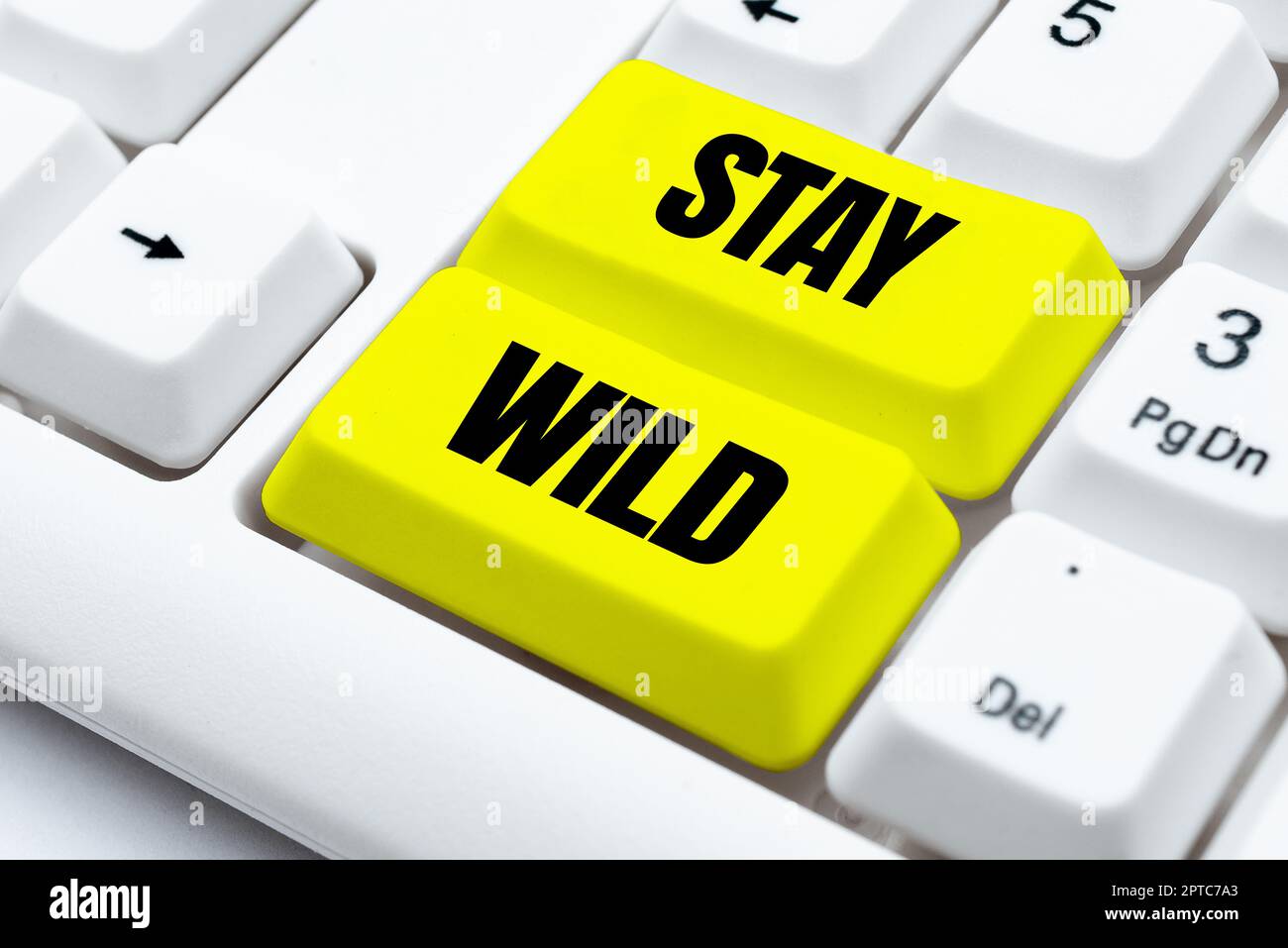 Titolo concettuale Rimani selvaggio, Word per la campagna di sensibilizzazione alle malattie lotta per ridurre i COVID19 casi di typewriting accordo di licenza per l'utente finale, digitando Foto Stock