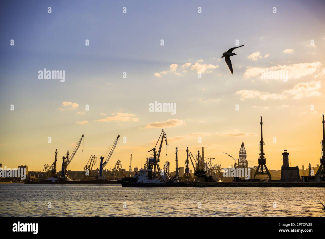 Terminal container, con gru, in un porto commerciale, al crepuscolo, con gli uccelli che volano. Foto Stock