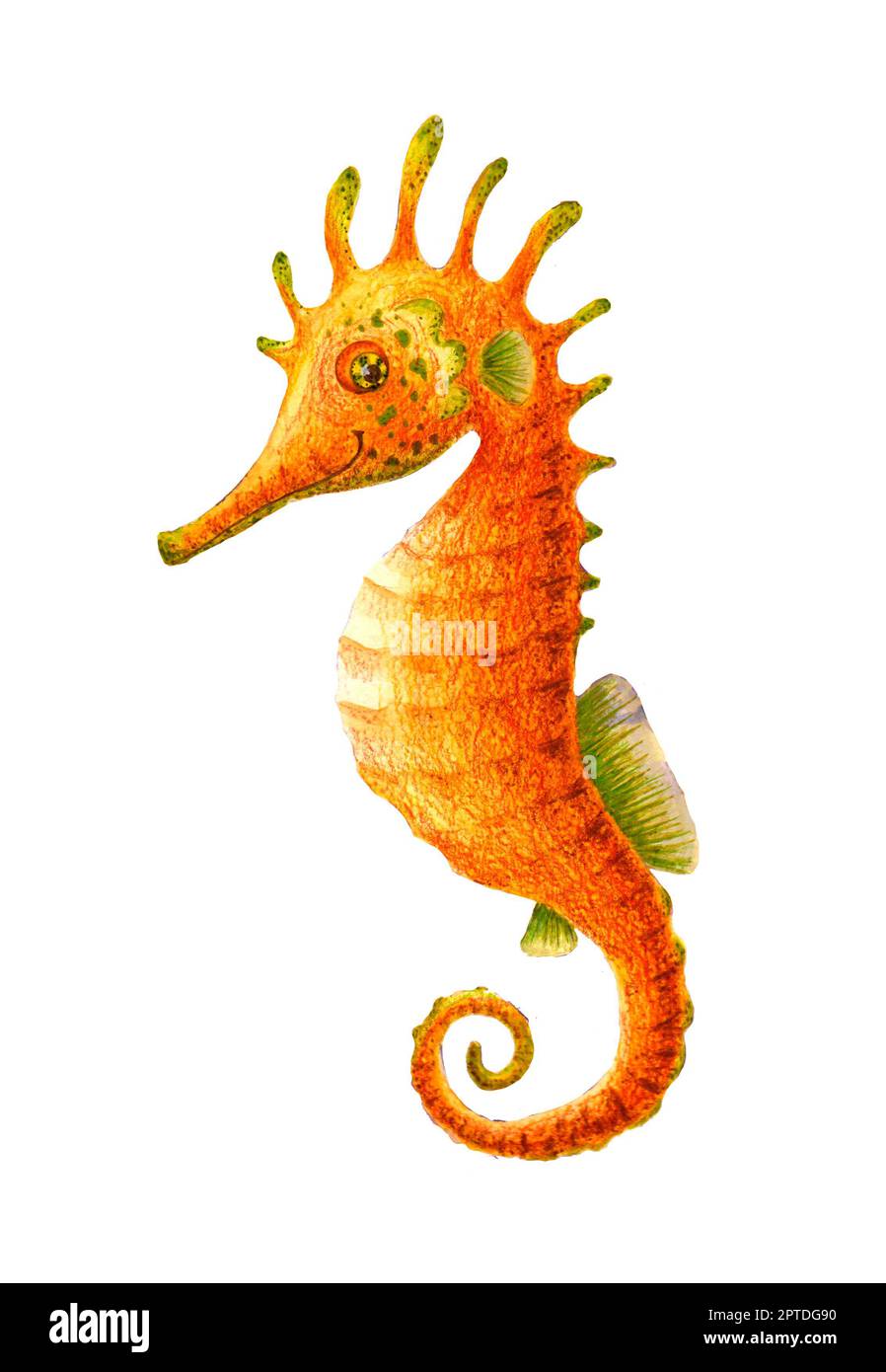 Immagine di un cavalluccio marino giallo disegnato a mano con acquerelli e pastelli. Pesce brillante in stile cartone animato isolato su sfondo bianco per il tuo design Foto Stock