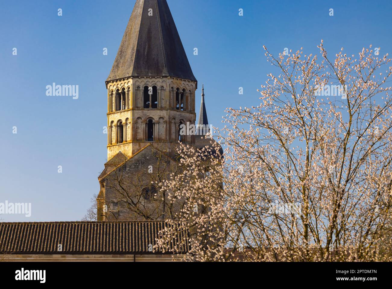 Abbazia benedettina Cluny, Saone et Loire dipartimento, Bourgogne regione, Francia Foto Stock