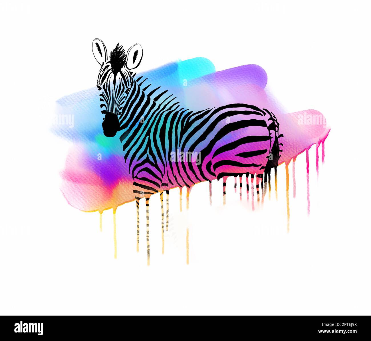 Elegante Zebra con strisce colorate e colori acquerelli Foto Stock