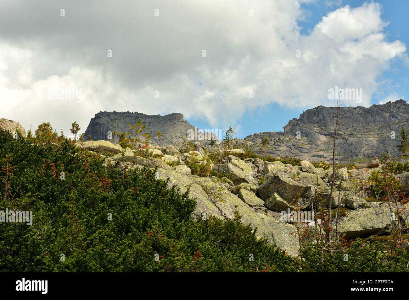 Si affaccia su un ripido pendio roccioso in una catena montuosa a forma di uomo sdraiato. Monte Sayan dormiente, Parco Naturale Ergaki, territorio di Krasnoyarsk Foto Stock