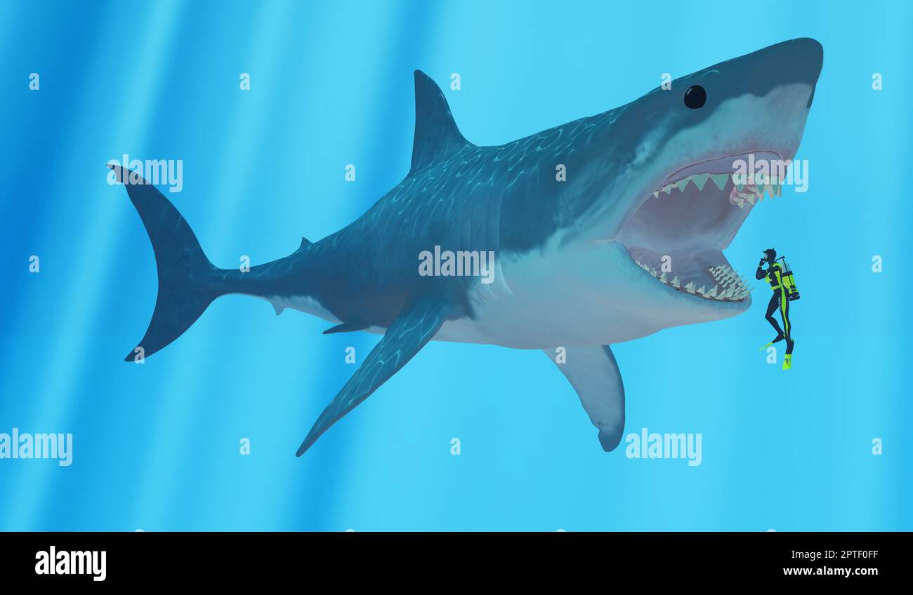 Il Megalodon è un estinto megatoothed squalo che esisteva in epoca preistorica, dall'Oligocene al Pleistocene epoche. Foto Stock