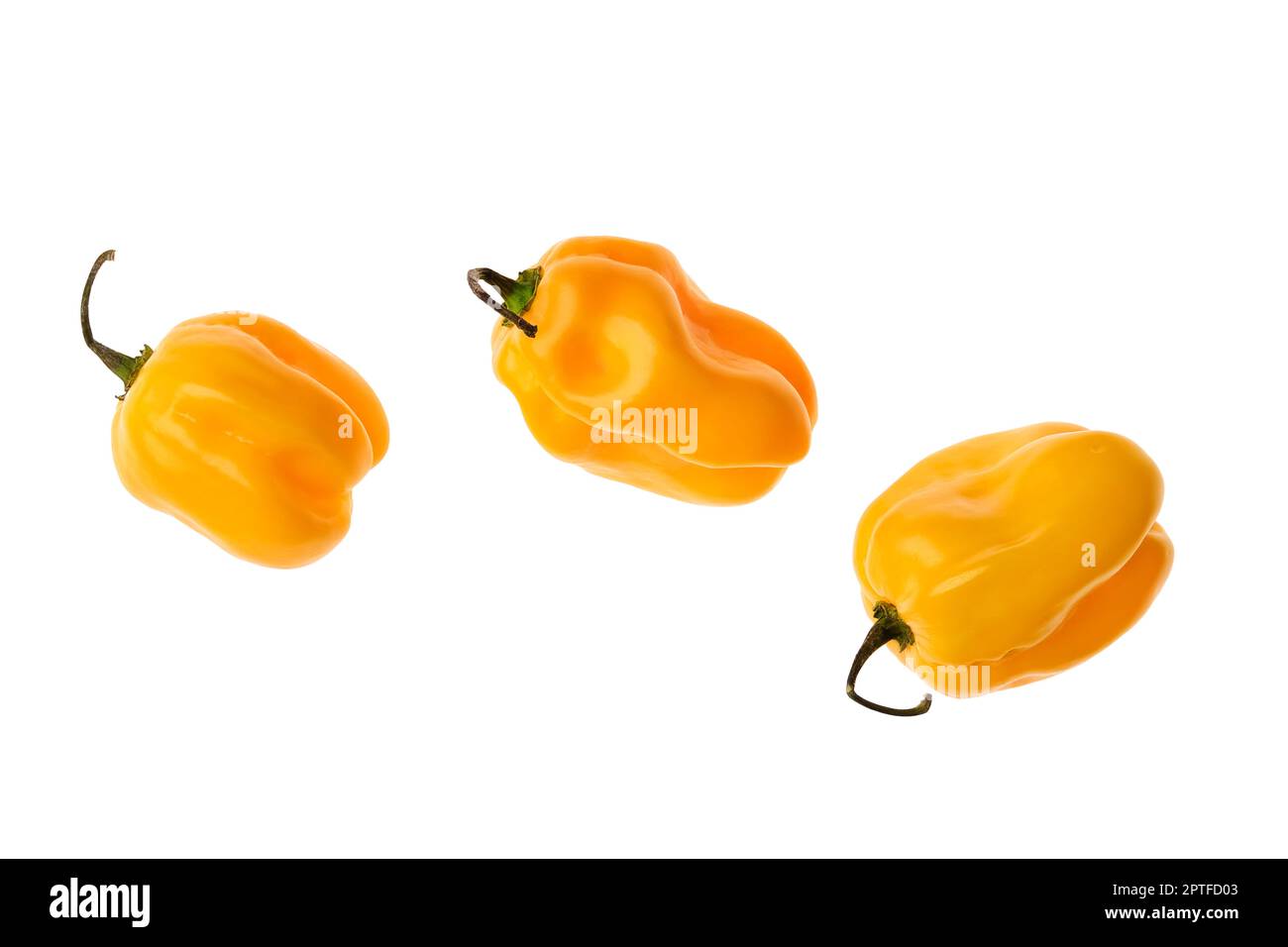 Pepe habanero fresco isolato su sfondo bianco Foto Stock