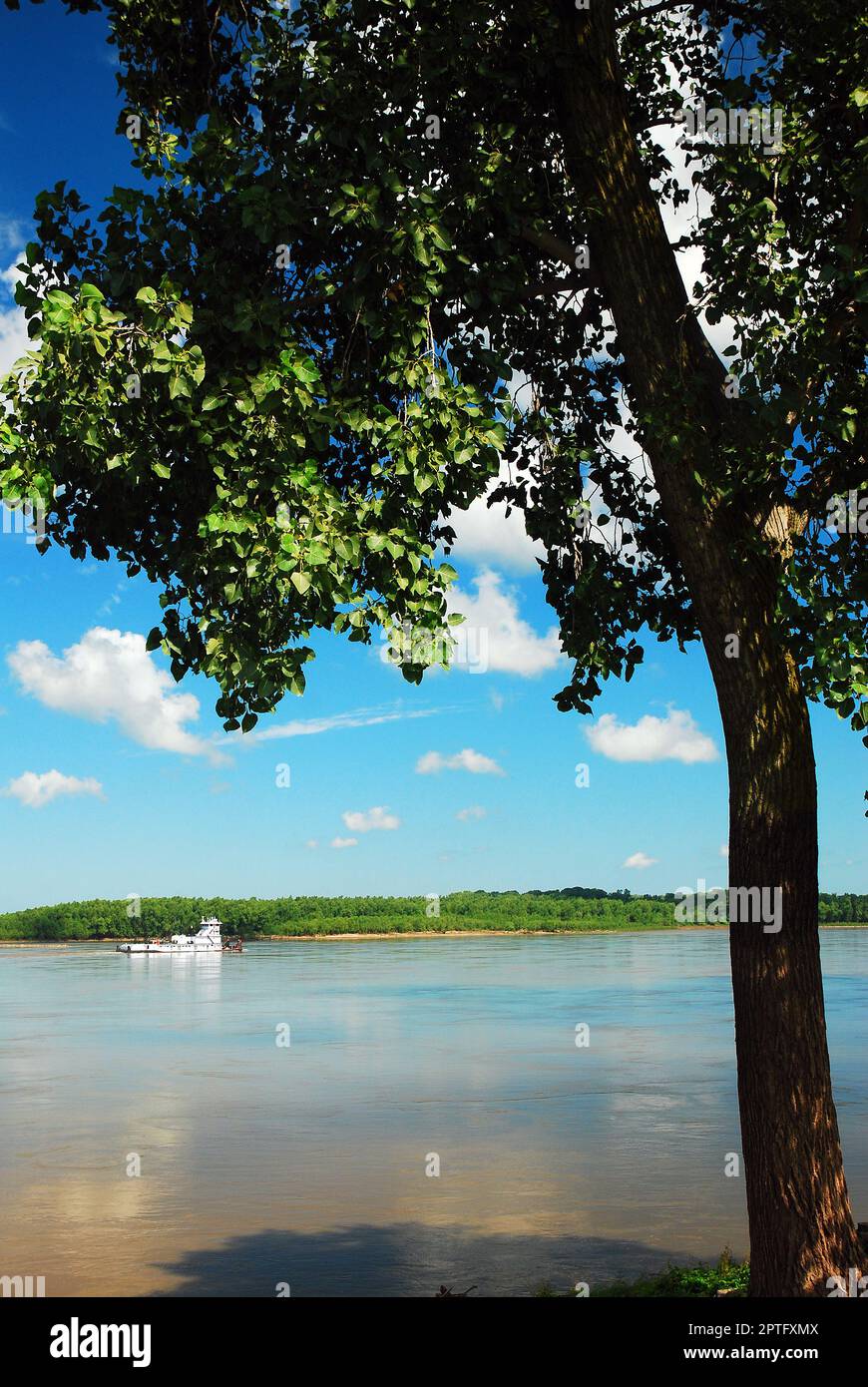 Una chiatta di trasporto veleggia l'acqua del fiume Mississippi vicino a Memphis Tennessee, trasportando merci e merci Foto Stock