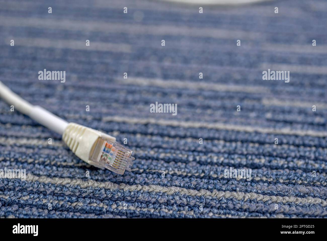 Cavo LAN o cavo Ethernet RJ45 plugins su tappeto Foto Stock