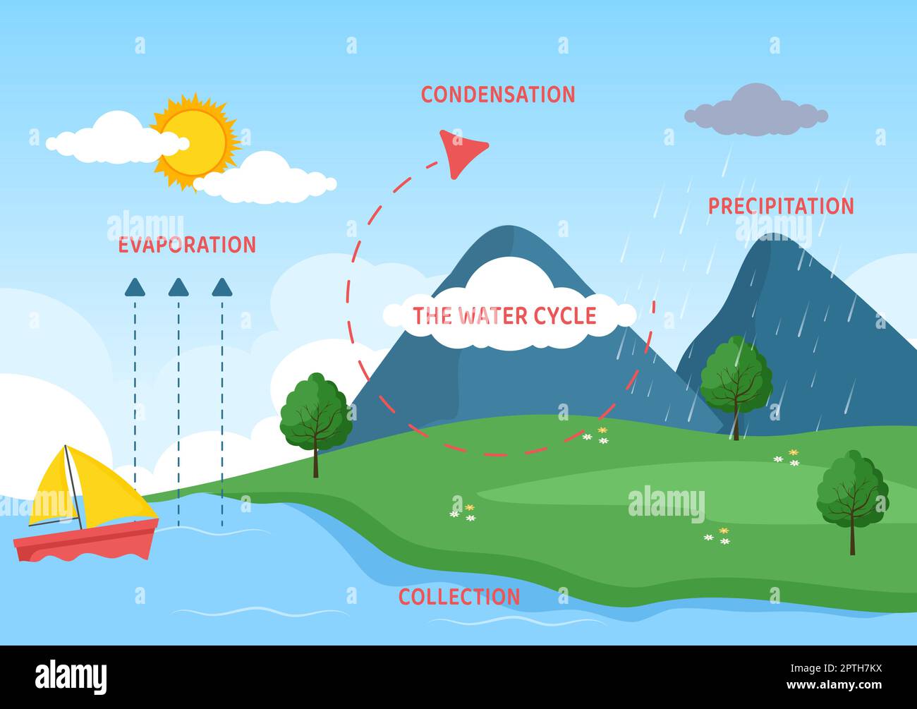 Ciclo dell'acqua di evaporazione, condensazione, precipitazione alla raccolta in ambiente naturale terrestre su Cartoon piano modello disegnato a mano Illustrazione Illustrazione Vettoriale