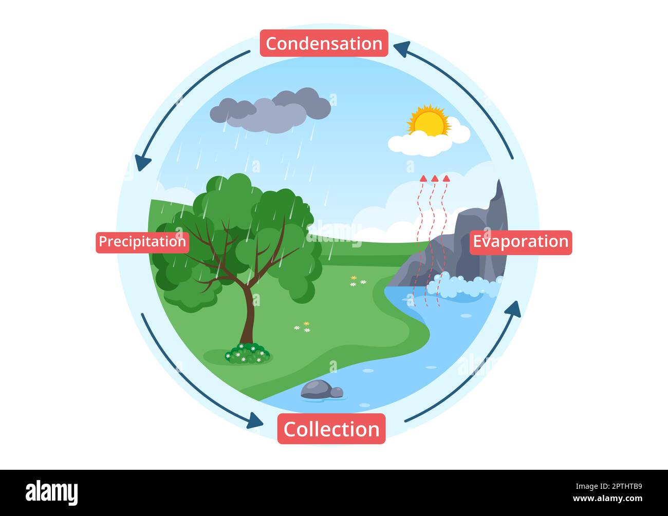 Ciclo dell'acqua di evaporazione, condensazione, precipitazione alla raccolta in ambiente naturale terrestre su Cartoon piano modello disegnato a mano Illustrazione Foto Stock