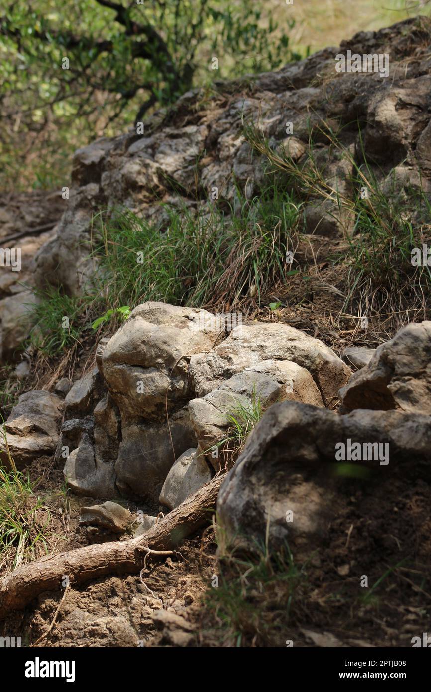 foresta grande percorso rock a Islamabad Margala Foto Stock