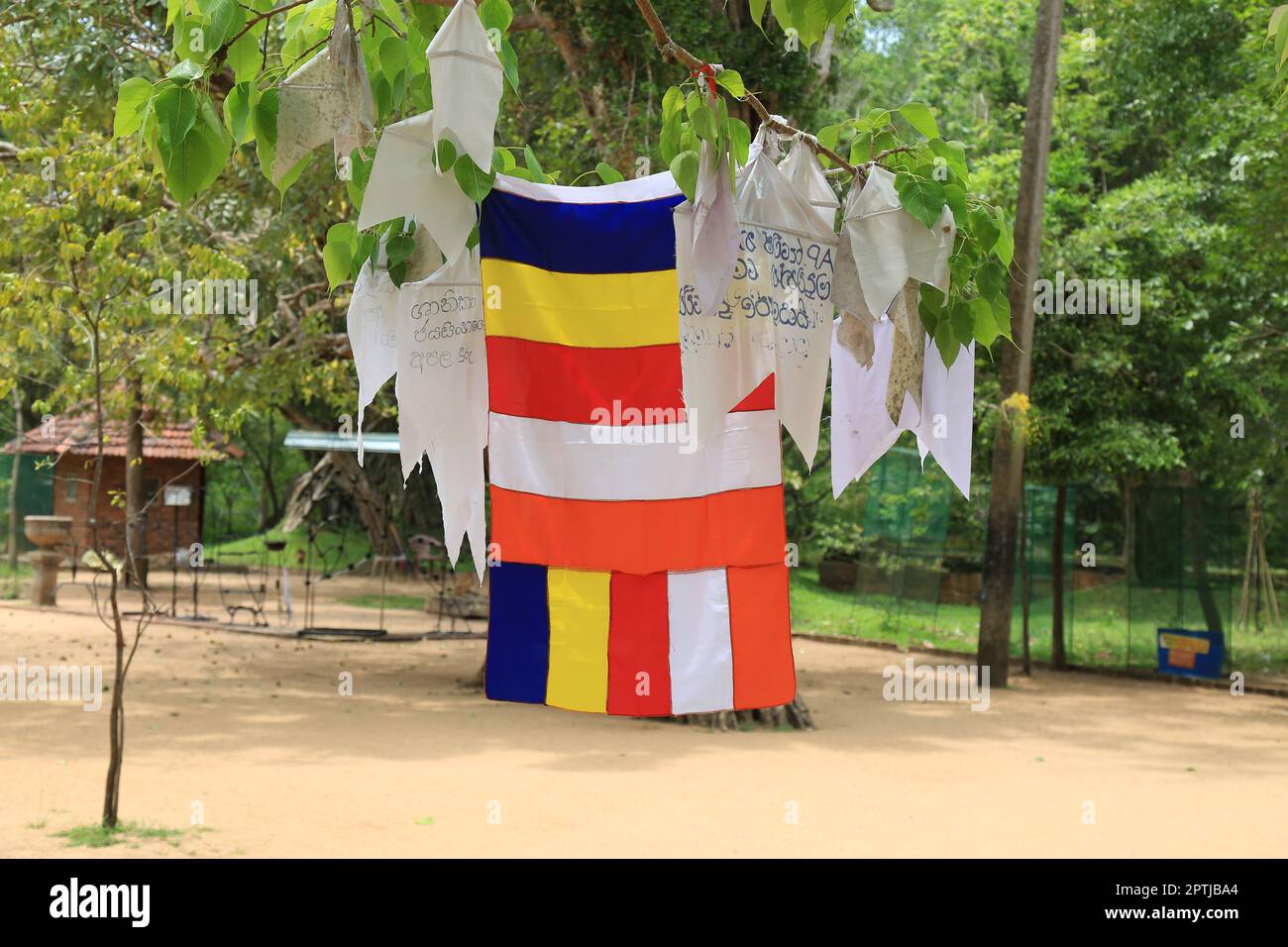 Bandiera buddista internazionale in un tempio Foto Stock