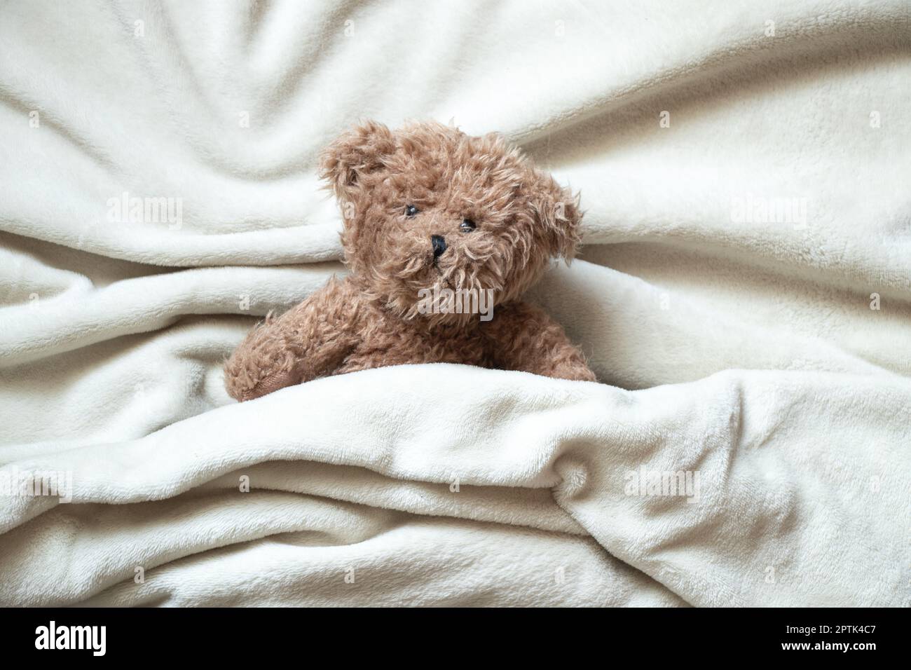 l'orso bruno orsacchiotto si trova avvolto in una coperta bianca morbida,  spazio per il testo Foto stock - Alamy