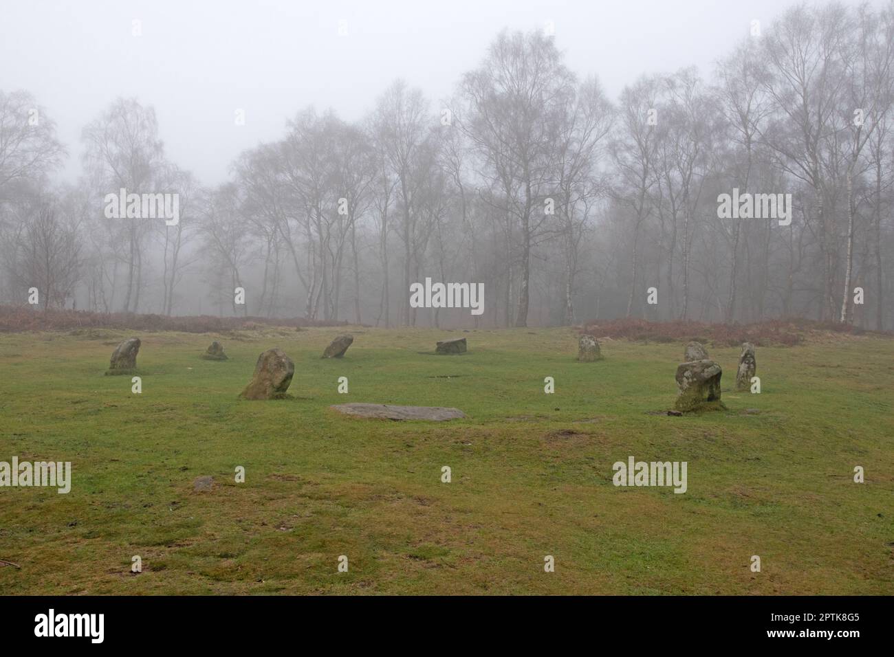 Nove Signore nella nebbia Foto Stock