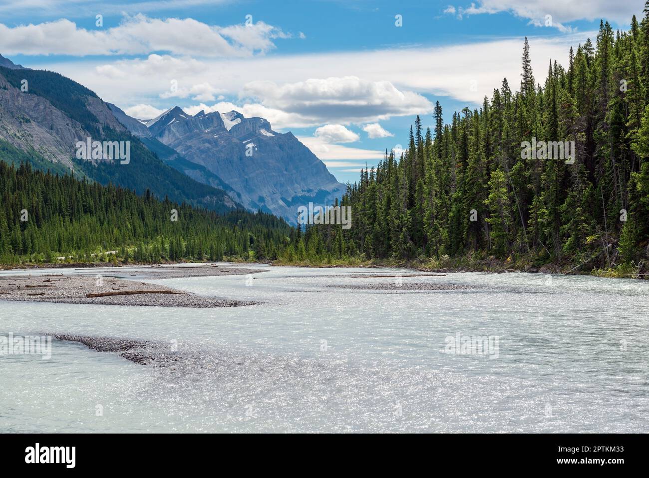 Fiume Athabasca con pineta e Montagne Rocciose in estate, Jasper parco nazionale, Canada. Foto Stock