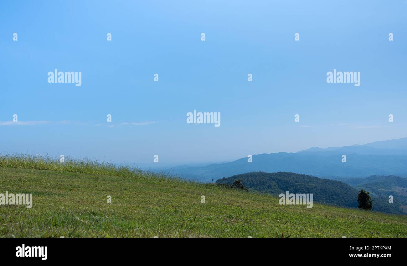 bel campo d'erba con cielo blu. Campagna vista paesaggio sfondo. Foto Stock