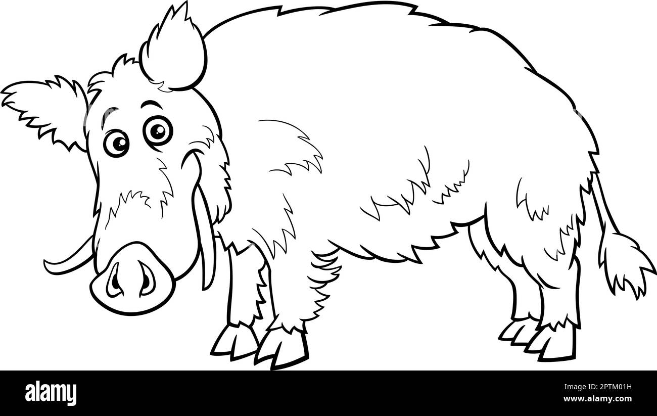 cartone animato cinghiale divertente animale carattere pagina da colorare Illustrazione Vettoriale