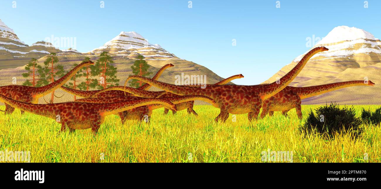 Diplodocus era un dinosauro erbivoro sauropod che visse nel Nord America durante il periodo giurassico. Foto Stock