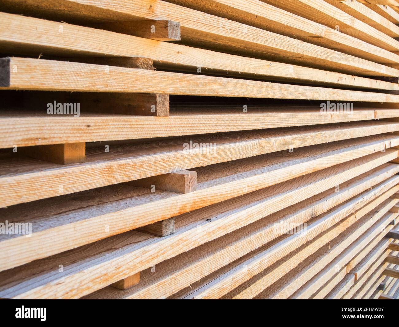 Vista prospettica che riempie il formato dei nuovi pannelli di legno dolce impilati paralleli l'uno sull'altro. Foto Stock